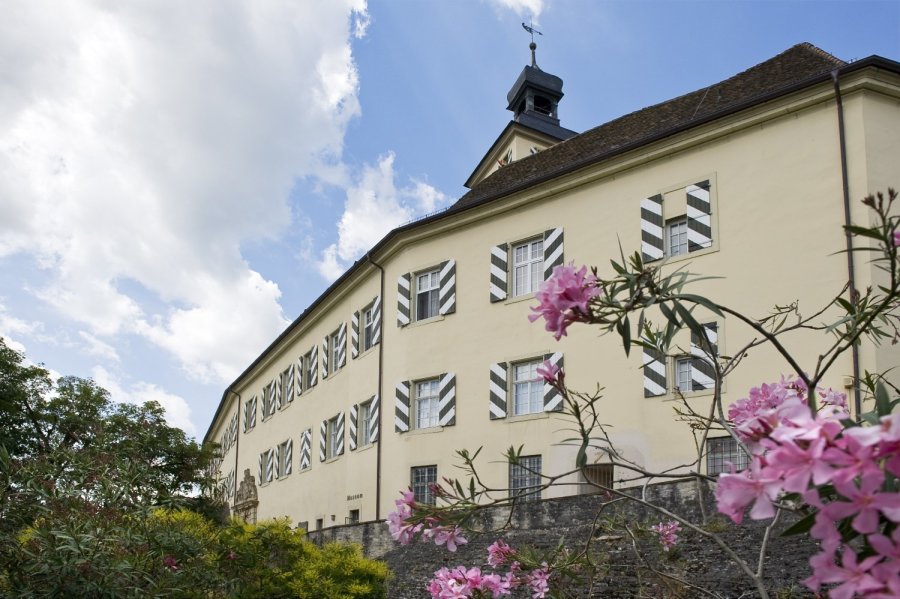 Blick auf Schloss Horneck, den Sitz des Siebenbürgischen Museums im Frühling.