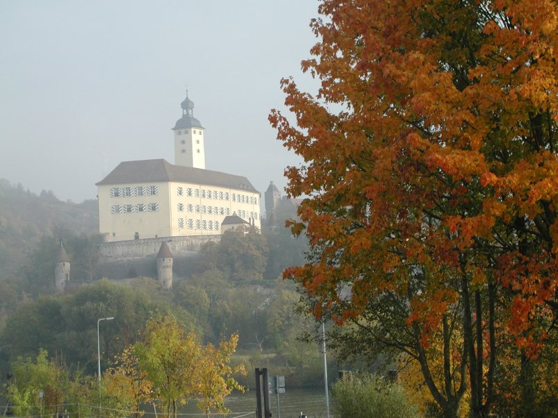 Blick auf Schloss Horneck, den Sitz des Siebenbürgischen Museums vom Neckarufer aus im Herbst.